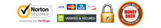 logo secure website